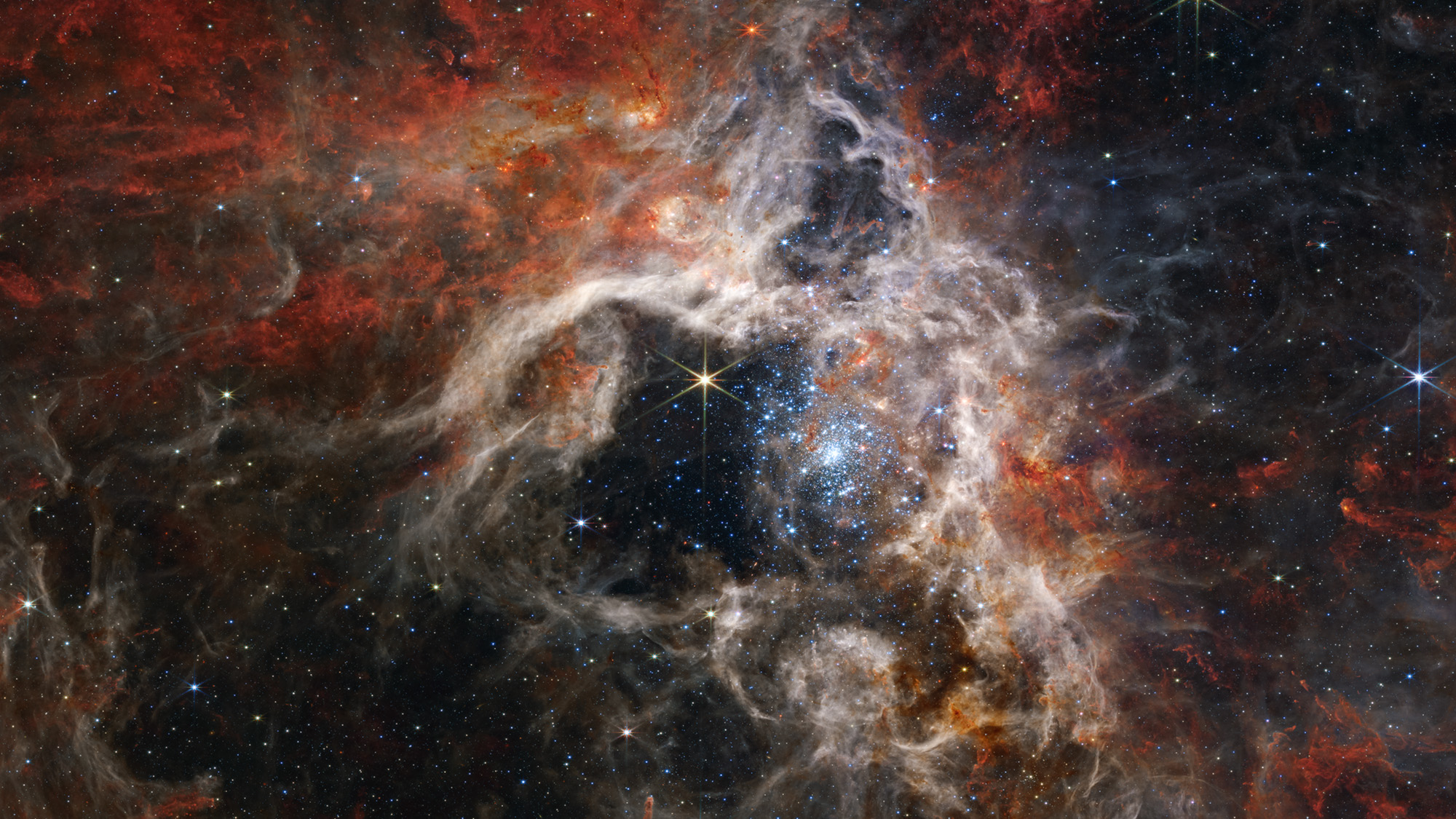 Detailed view of the Tarantula Nebula.